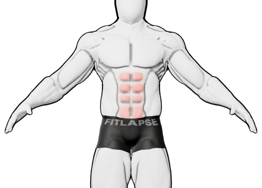 Abdominaux en surbrillance sur une silhouette vue de face