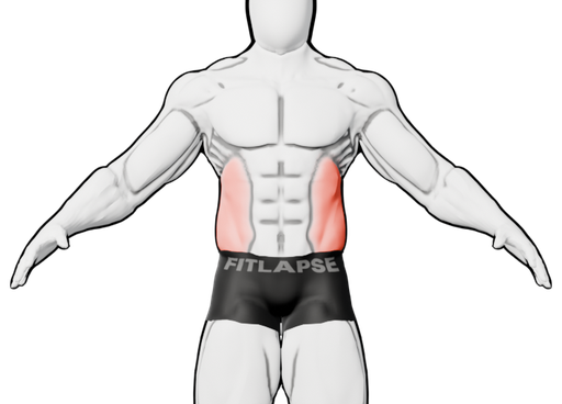 Obliques en surbrillance sur une silhouette vue de face