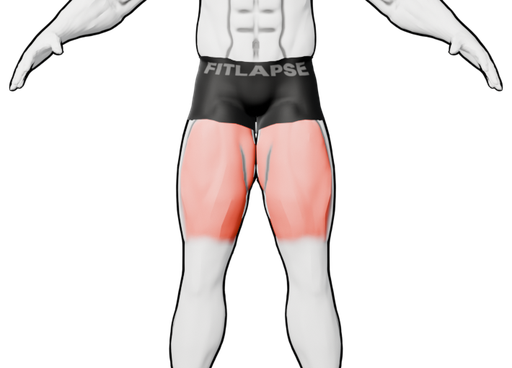 Quadriceps en surbrillance sur une silhouette vue de face