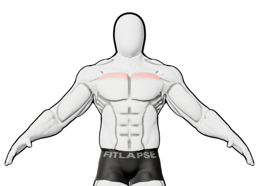 Haut des pectoraux en surbrillance sur une silhouette vue de face