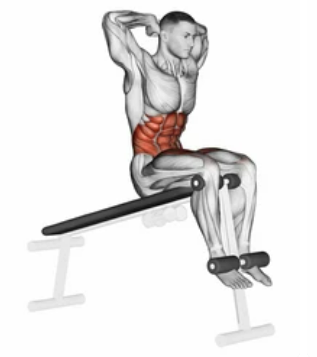 Decline Crunch zoom 2