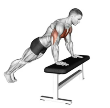 Incline Push-up preview