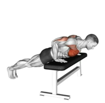 Incline Push-up zoom 2