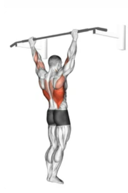 Back Overhand Pull-up preview
