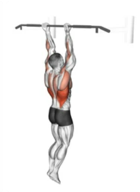 Back Underhand Pull-up preview