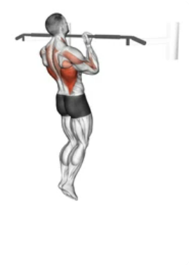 Back Underhand Pull-up zoom 2