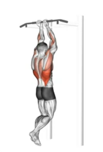 Close-grip Back Underhand Pull-up preview
