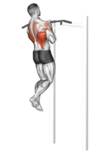 Close-grip Back Underhand Pull-up zoom 2