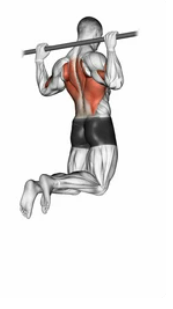 Front Overhand Pull-up zoom 2