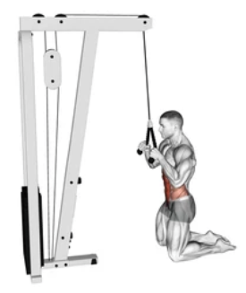 Cable Kneeling Crunch preview