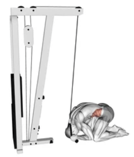 Cable Kneeling Crunch zoom 2