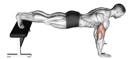 Decline Push-up preview