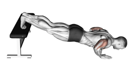 Decline Push-up zoom 2