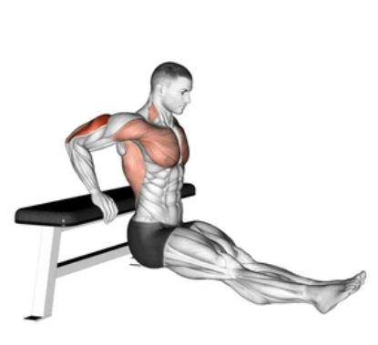 Bench Dips zoom 2