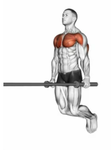 Straight Bar Dips preview