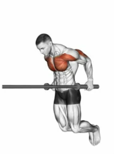 Straight Bar Dips zoom 2