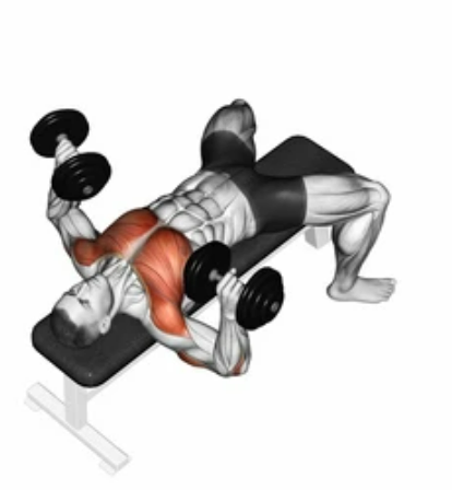Dumbbell Bench Press preview