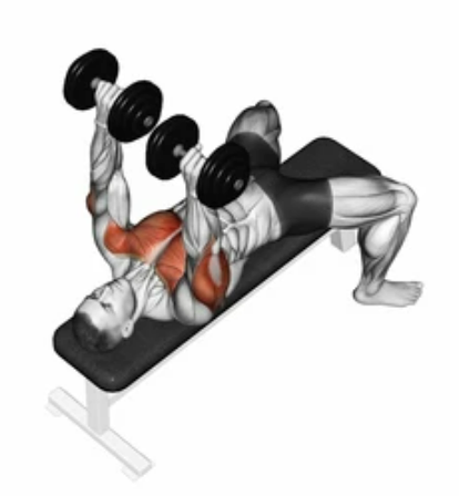 Dumbbell Bench Press zoom 2