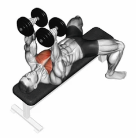 Dumbbell Fly preview