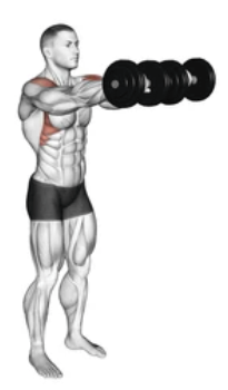 Dumbbell Front Raise zoom 2