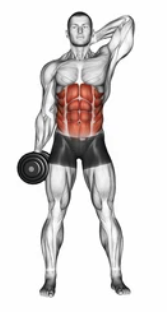 Leaning Dumbbell Lateral Raise preview