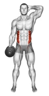 Dumbbell Side Bend preview