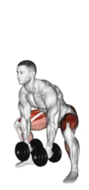 Dumbbell Sumo Deadlift preview