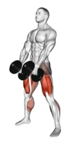 Dumbbell Sumo Deadlift zoom 2