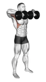 Dumbbell Upright Row zoom 2