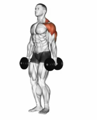 Lateral Raise preview