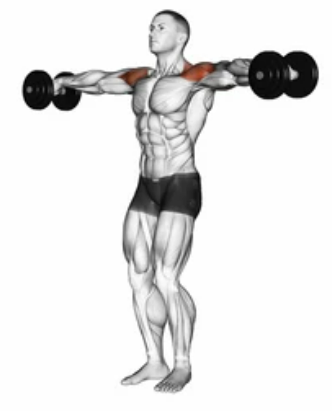 Lateral Raise zoom 2