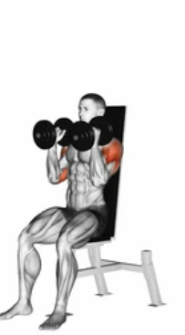 Dumbbell Shoulder Press preview