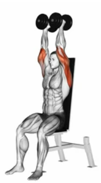 Dumbbell Shoulder Press zoom 2