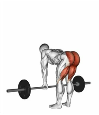 Conventional Deadlift preview