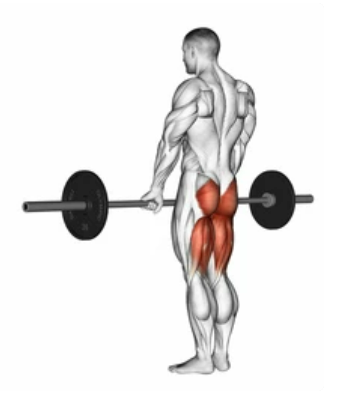 Conventional Deadlift zoom 2
