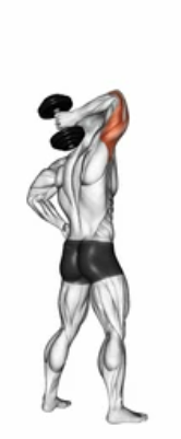 Dumbbell Triceps Extension preview