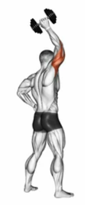 Dumbbell Triceps Extension zoom 2
