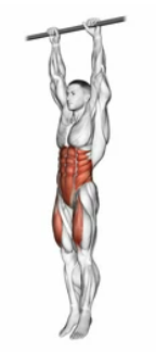 Hanging Knee Raises preview