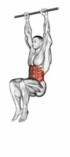 Hanging Knee Raises zoom 2