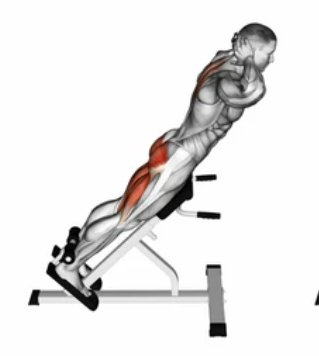 Basic Back Extension preview