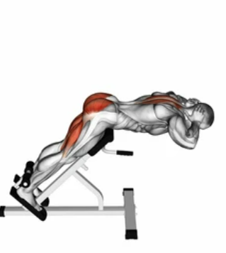 Basic Back Extension zoom 2