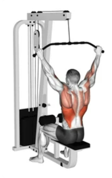 Overhand Front Lat Pulldown preview
