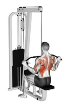 Overhand Front Lat Pulldown zoom 2