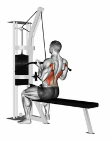 Underhand Front Lat Pulldown preview