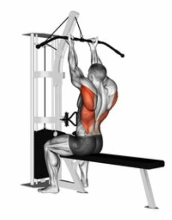 Underhand Front Lat Pulldown zoom 2