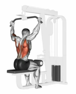 Behind-the-Neck Lat Pulldown preview
