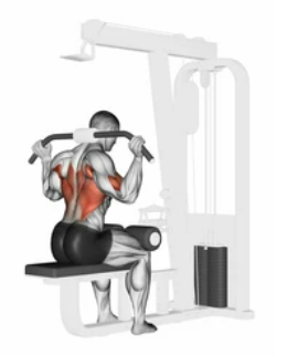 Behind-the-Neck Lat Pulldown zoom 2