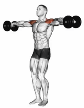 Dumbbell Hammer Curl zoom 2