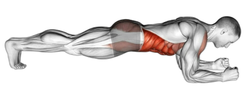 Standard Plank preview