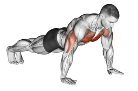 Standard Push-up preview
